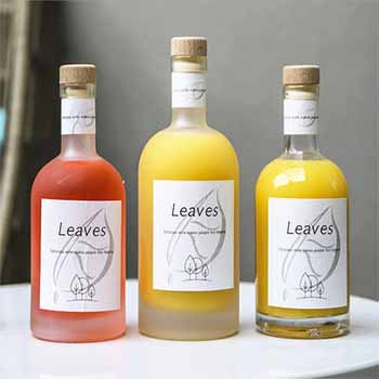 Factory 500ml sparkling wine bottle champagne bottle vodka whisky bottle
